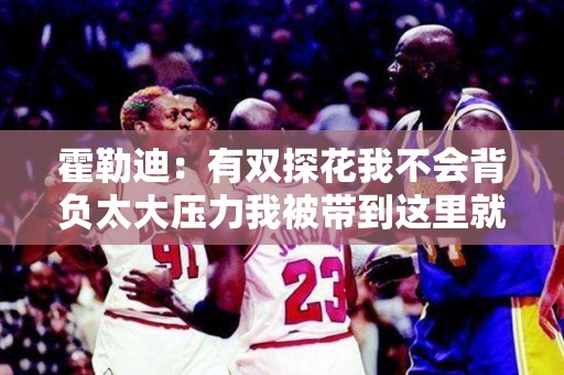 霍勒迪：有双探花我不会背负太大压力我被带到这里就是为了冠军